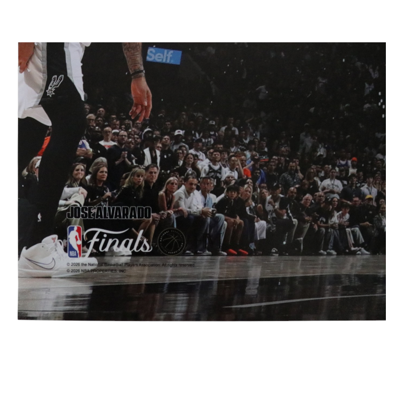 José Alvarado New York Knicks Signed Layup 16x20 Photo-Powers Sports Memorabilia