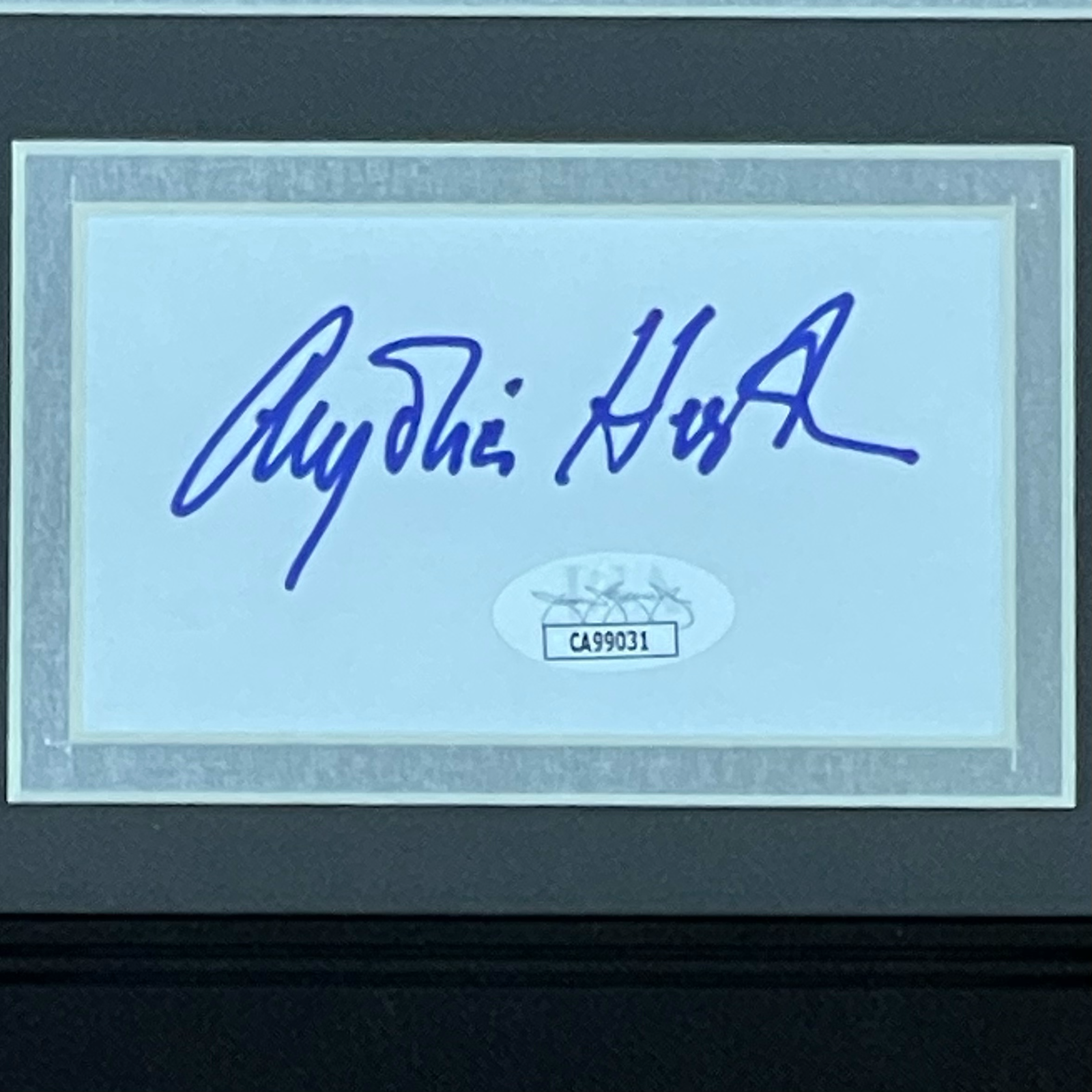 Autographed Anjelica Huston Addams Family Morticia 8x10 Photo "Signature Series" Frame - JSA-Powers Sports Memorabilia