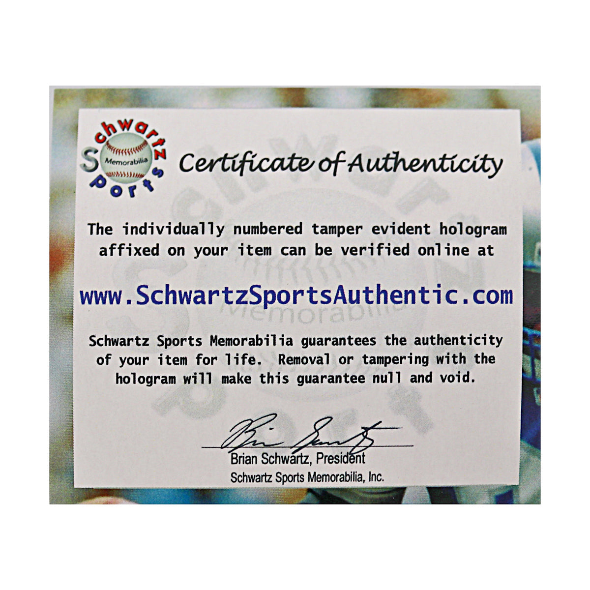 Barry Sanders Detroit Lions Signed Riddell Replica F/S Helmet (Schwartz Sports Auth)-Powers Sports Memorabilia