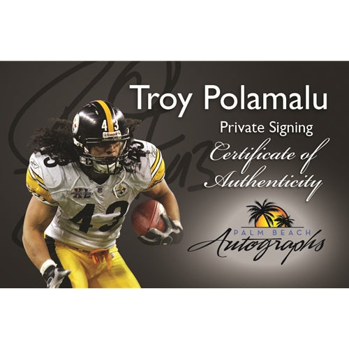 Autographed Troy Polamalu Pittsburgh (Black #43) Deluxe Framed Jersey - JSA-Powers Sports Memorabilia