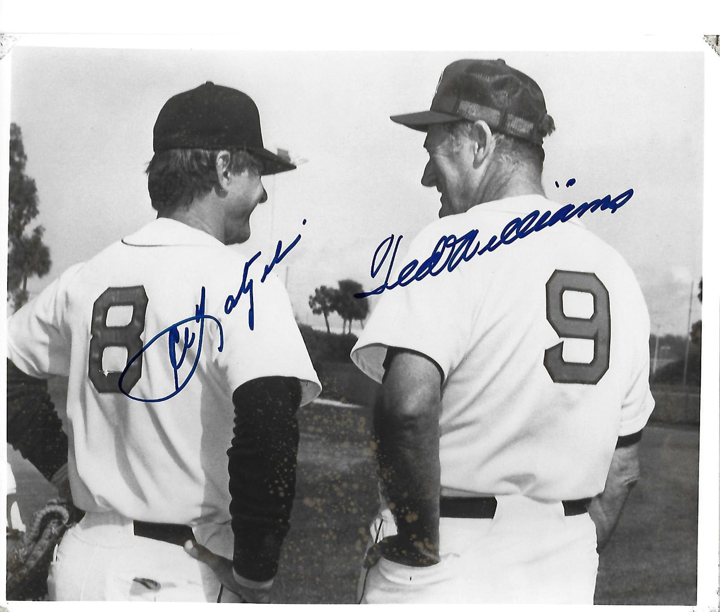 Ted Williams and Carl Yastrzemski Signed Boston Red Sox 8x10 Photo JSA Authenticated #2-Powers Sports Memorabilia