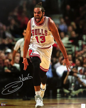 Joakim Noah Autograph Signing-Powers Sports Memorabilia