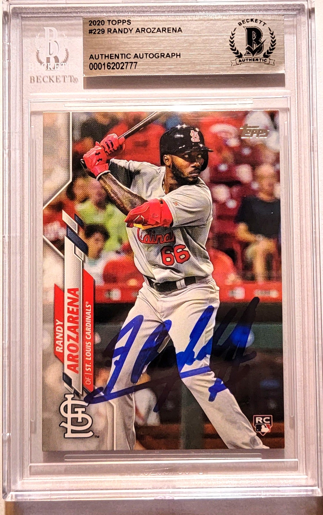 Randy Arozarena Signed St. Louis Cardinals Encapsulated 2020 Topps #229 Rookie Card Beckett 00016202777-Powers Sports Memorabilia
