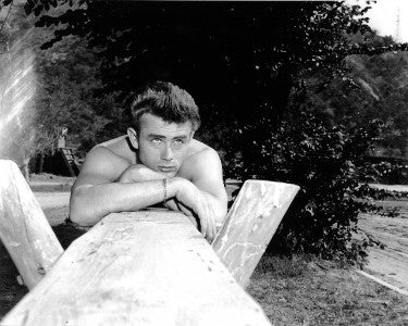 James Dean unsigned Vintage B&W 8 x 10 Photograph (arms on wood)-Powers Sports Memorabilia