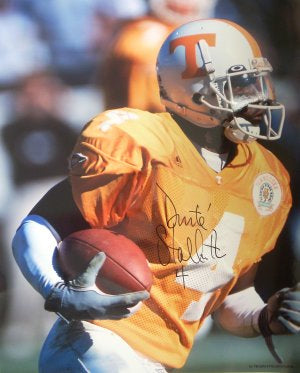 Donte' Stallworth Autographed Tennessee Volunteers NCAA 16X20 Photo - COA-Powers Sports Memorabilia