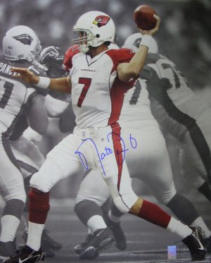 Matt Leinart Autographed Arizona Cardinals Spotlight 16x20 Photo- Leinart Player Hologram/COA-Powers Sports Memorabilia