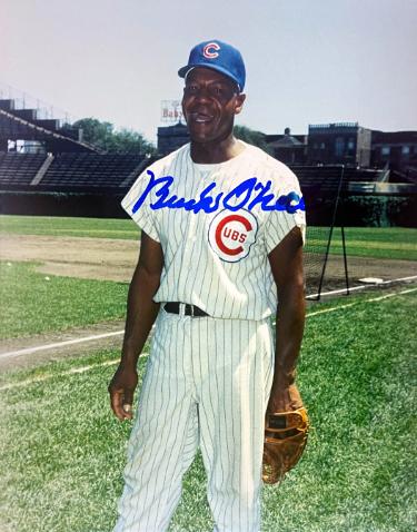 Buck O'Neil Autographed Chicago Cubs 8x10 Photo- Collector's Showcase LOA/Show Ticket/Negro League/Monarchs-Powers Sports Memorabilia