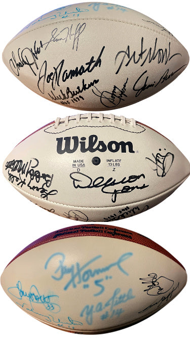 HOF Legends Autographed OFC Wilson NFL WP Leather Football Tagliabue 17 Sigs Beckett Namath/Jim Brown/Riggins/Monk/Gibbs/Unitas-Powers Sports Memorabilia