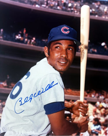 Billy Williams Autographed Chicago Cubs MLB Licensed 8x10 Photo minor dings- COA (HOF)-Powers Sports Memorabilia