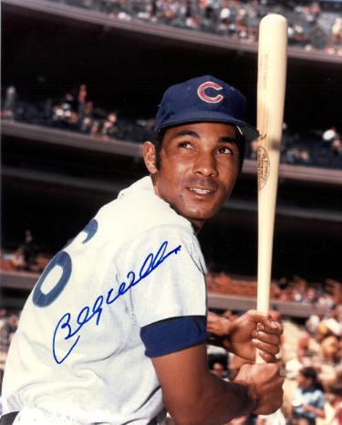Billy Williams Autographed Chicago Cubs MLB Licensed 8x10 Photo Minor Dings - COA HOF-Powers Sports Memorabilia