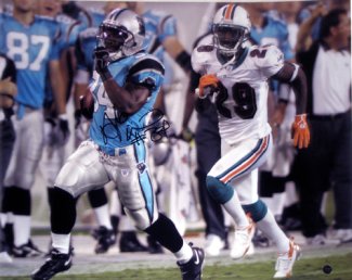Deangelo Williams Autographed Carolina Panthers 16x20 Photo-Powers Sports Memorabilia