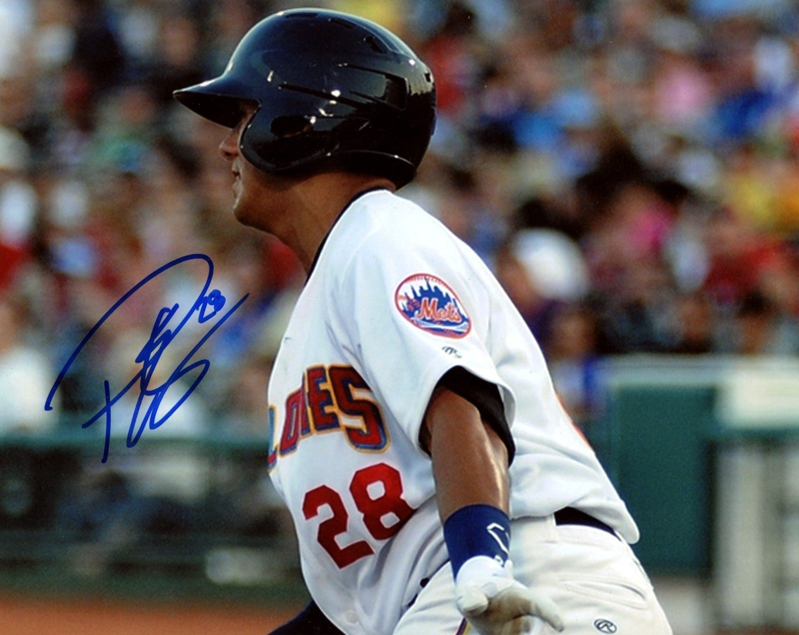 Phillip Evans Signed Brooklyn Cyclones 8x10 Photo LSCM Authenticated #3 Mets-Powers Sports Memorabilia