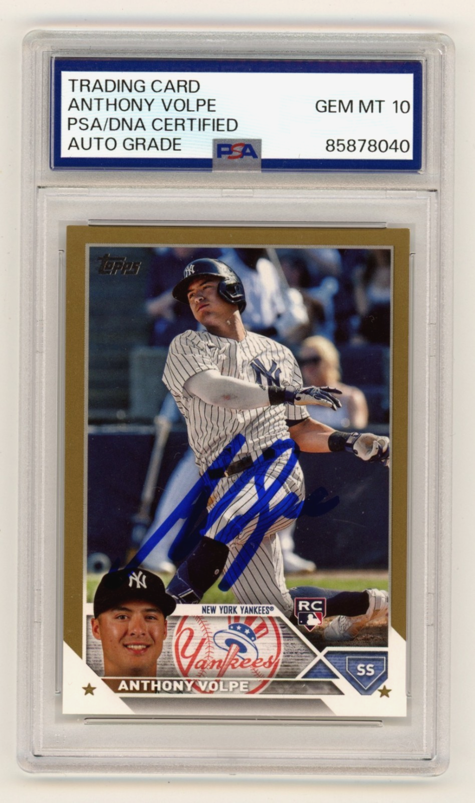 Anthony Volpe 2023 Topps Series 2 #460 Gold Parallel Signed RC /2023 PSA 10 Auto-Powers Sports Memorabilia