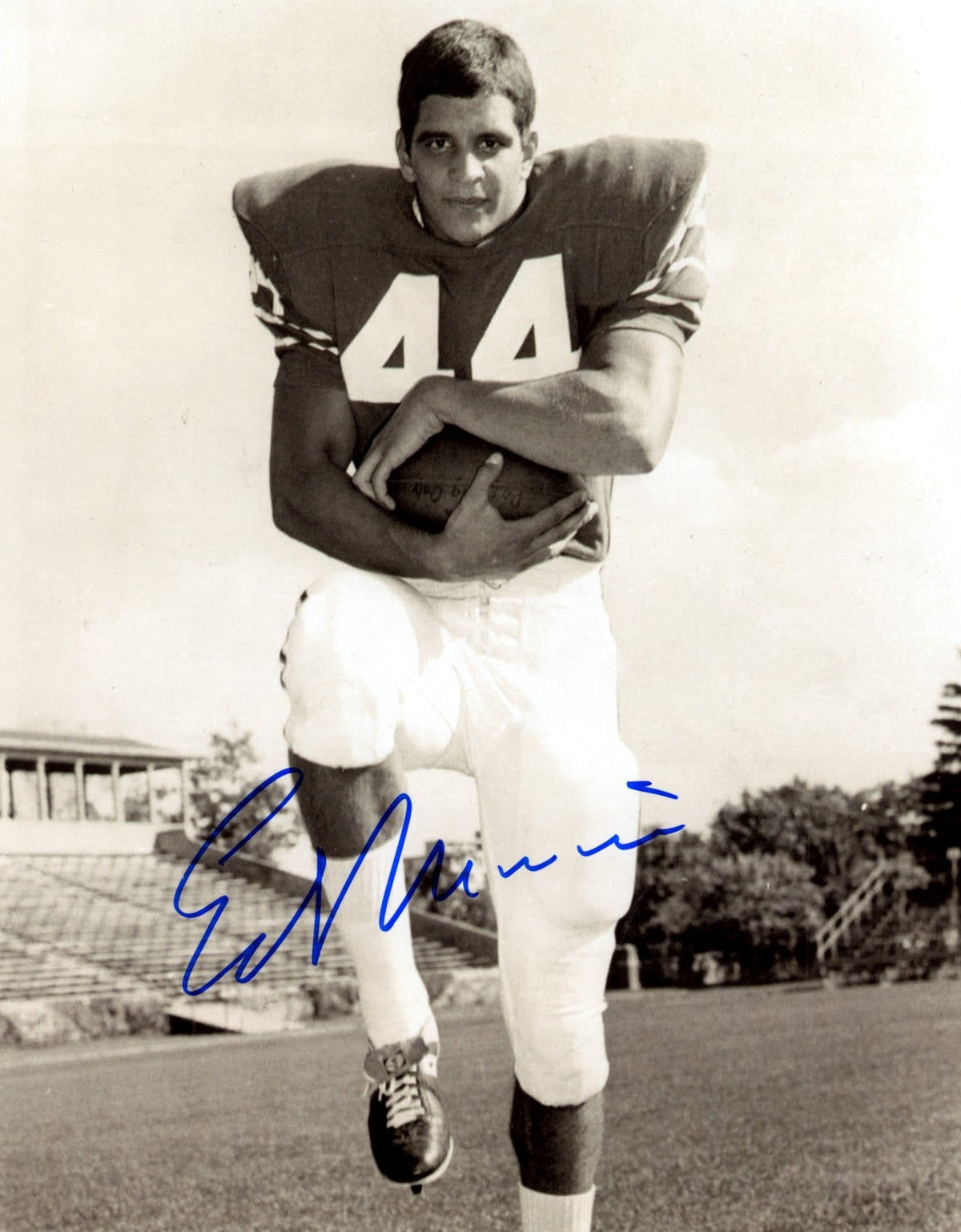 Ed Marinaro Signed Autographed Cornell Big Red 8x10 Photo LSCM COA-Powers Sports Memorabilia