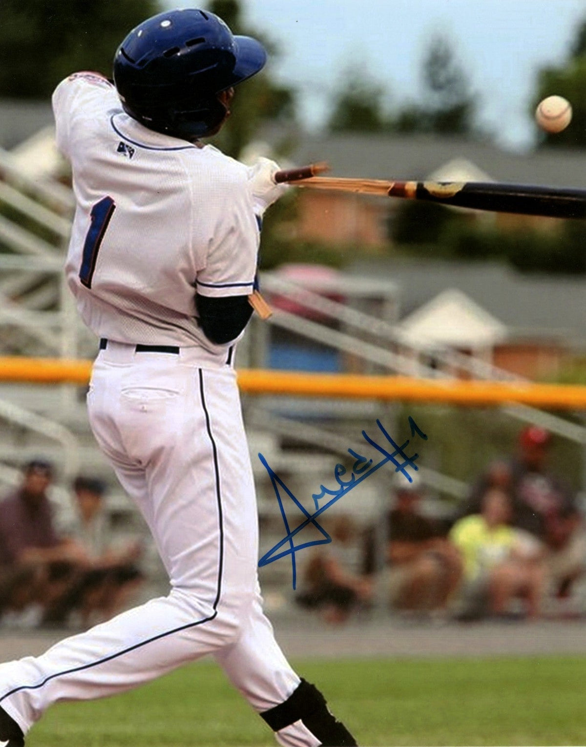 Amed Rosario Signed Brooklyn Cyclones 8x10 Photo LSCM Authenticated Mets #4-Powers Sports Memorabilia