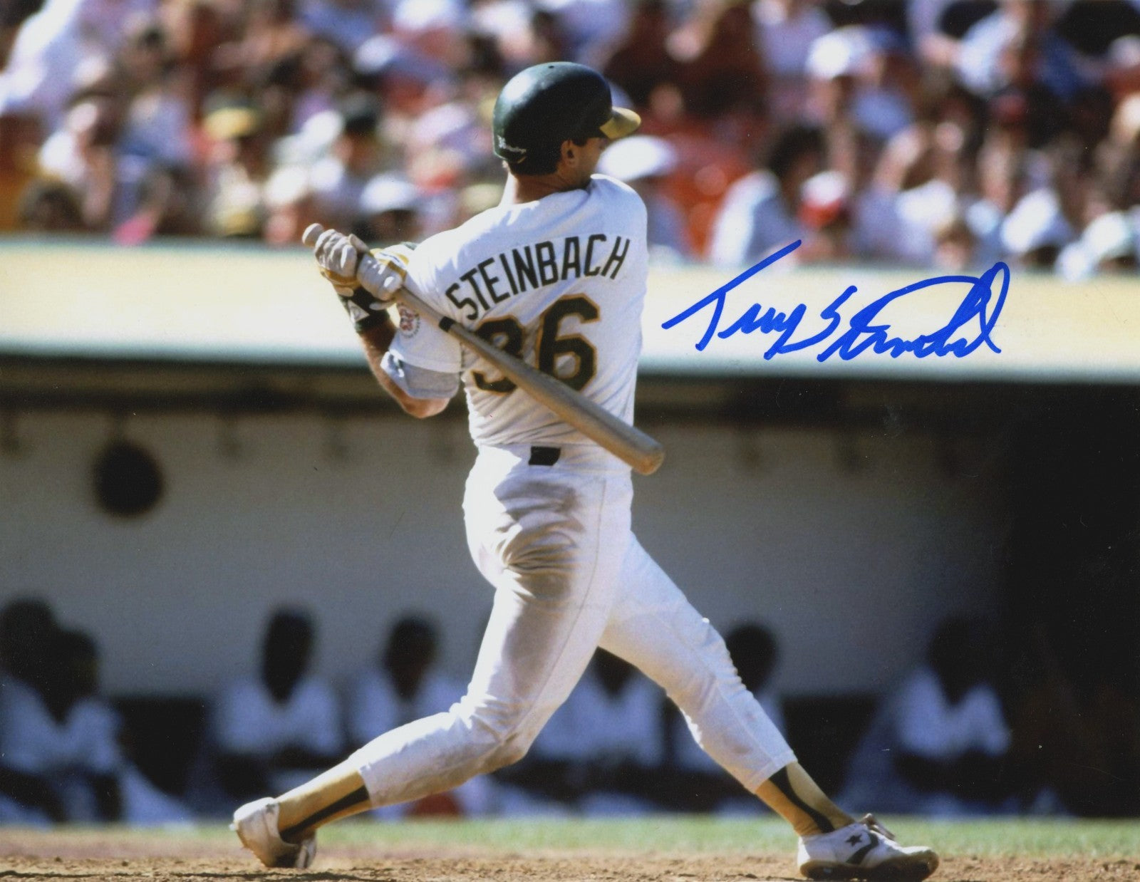 Terry Steinbach Signed Oakland Athletics 8x10 Photo LSCM Authenticated-Powers Sports Memorabilia