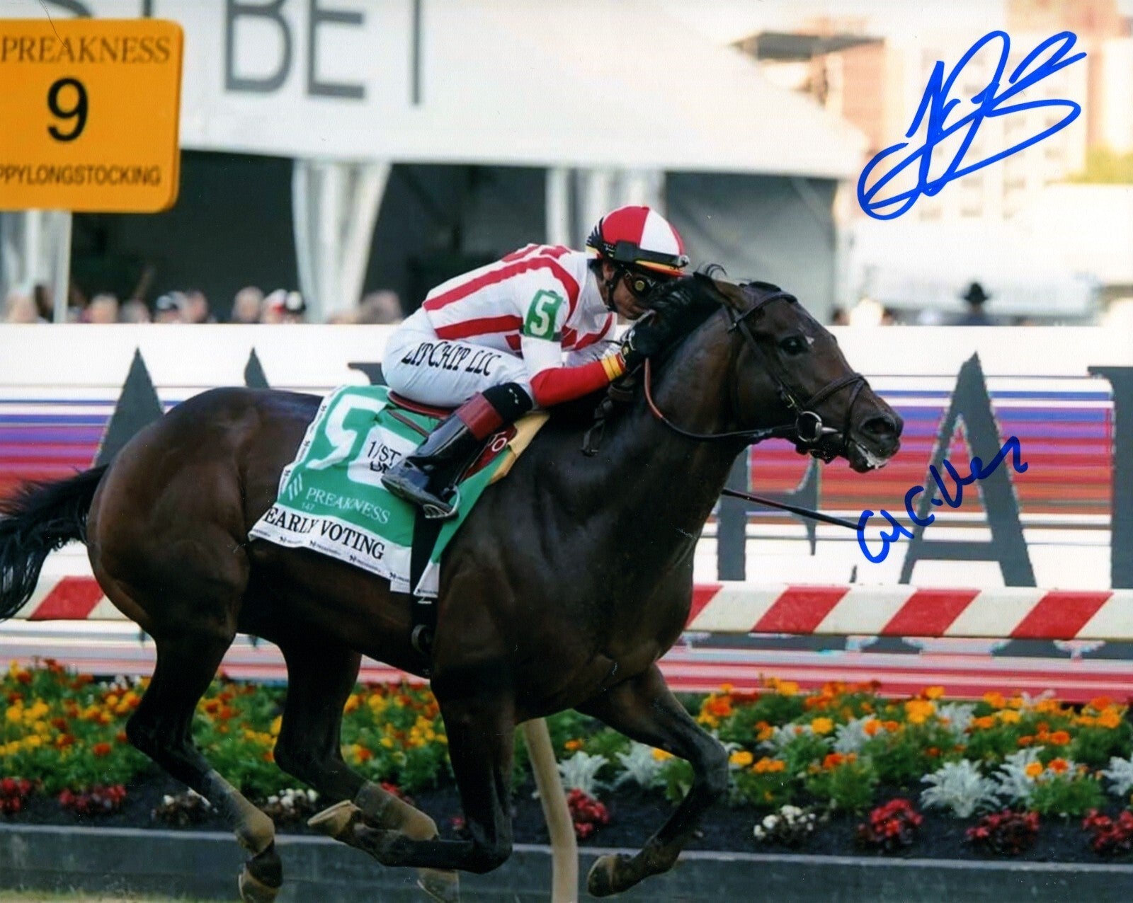 Jose Ortiz Chad C. Brown Signed Early Voting 2022 Preakness 8x10 Photo Authenticated-Powers Sports Memorabilia