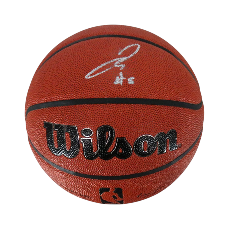 José Alvarado New York Knicks Signed Wilson NBA Basketball-Powers Sports Memorabilia