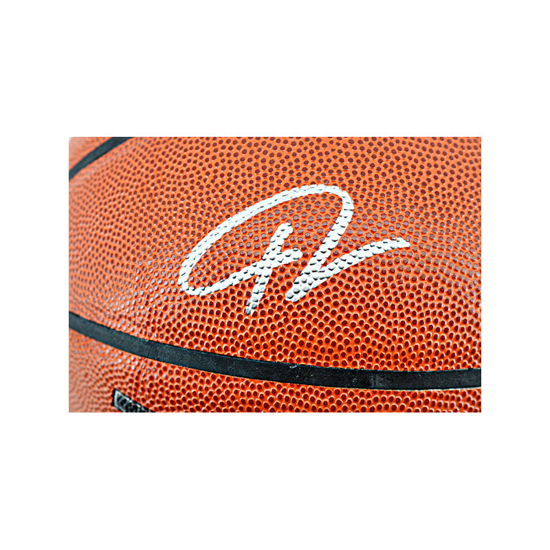 Giannis Antetokounmpo Milwaukee Bucks Signed Wilson NBA Basketball-Powers Sports Memorabilia