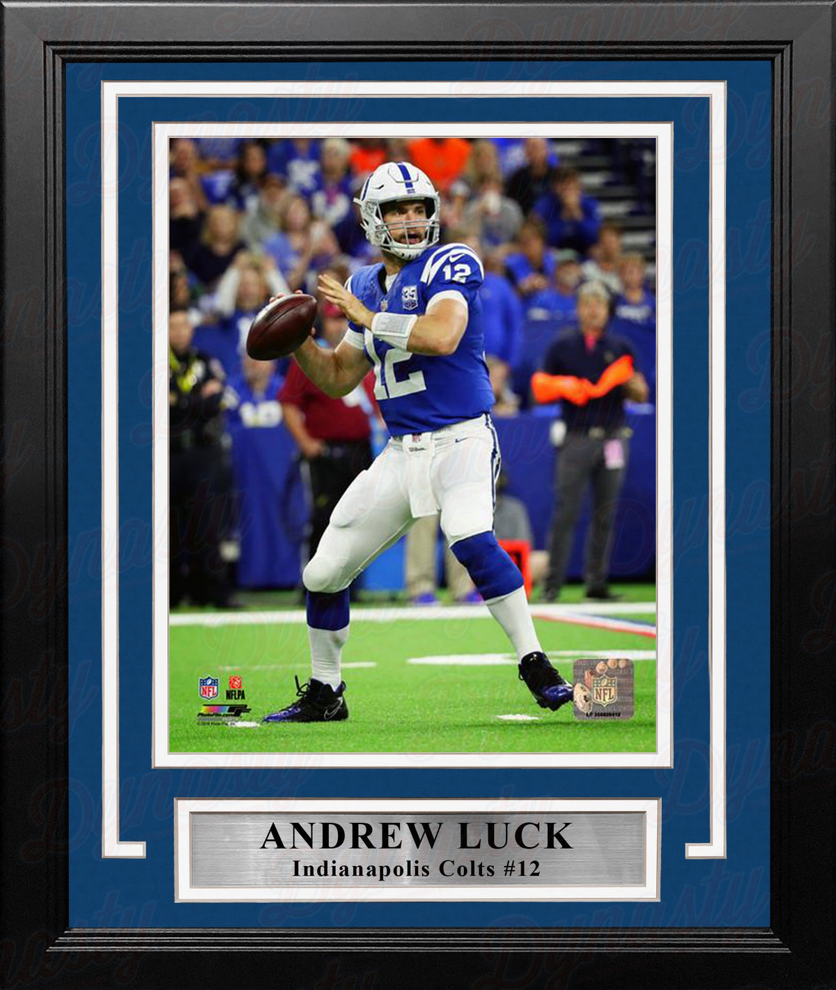 Andrew Luck in Action Indianapolis Colts 8" x 10" Framed Football Display Photo-Powers Sports Memorabilia