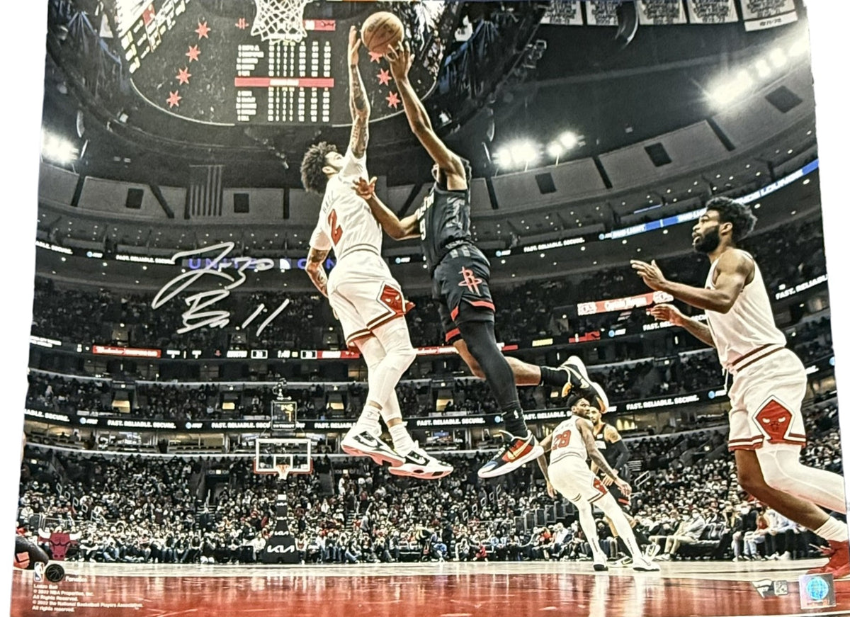 Lonzo Ball Chicago Bulls Signed 16x20 Photo - Fanatics-Powers Sports Memorabilia