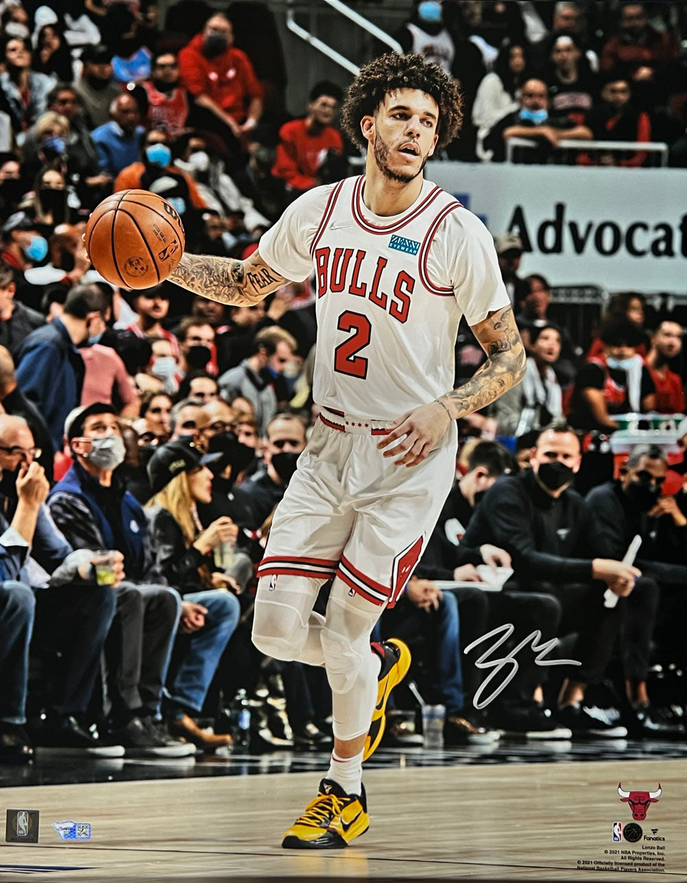 Lonzo Ball Chicago Bulls Signed 8x10 Photo - FAN - 41080-Powers Sports Memorabilia