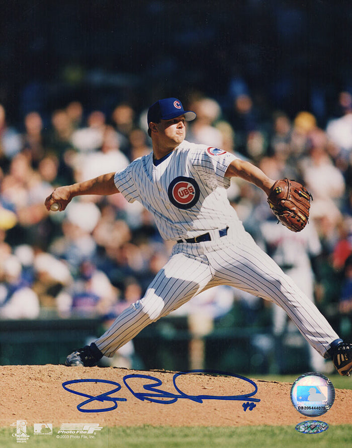 Joe Borowski Autographed Chicago Cubs White Pinstripe Jersey Pitching 8x10 Photo-Powers Sports Memorabilia