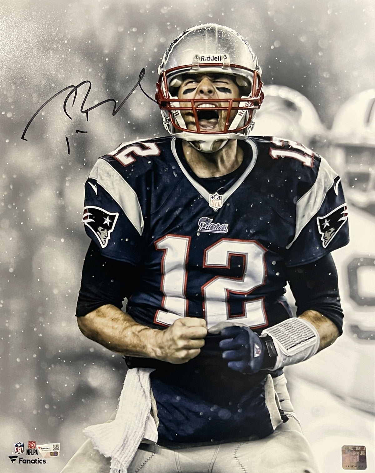 Tom Brady New England Patriots Signed 16x20 Photo FAN-Powers Sports Memorabilia