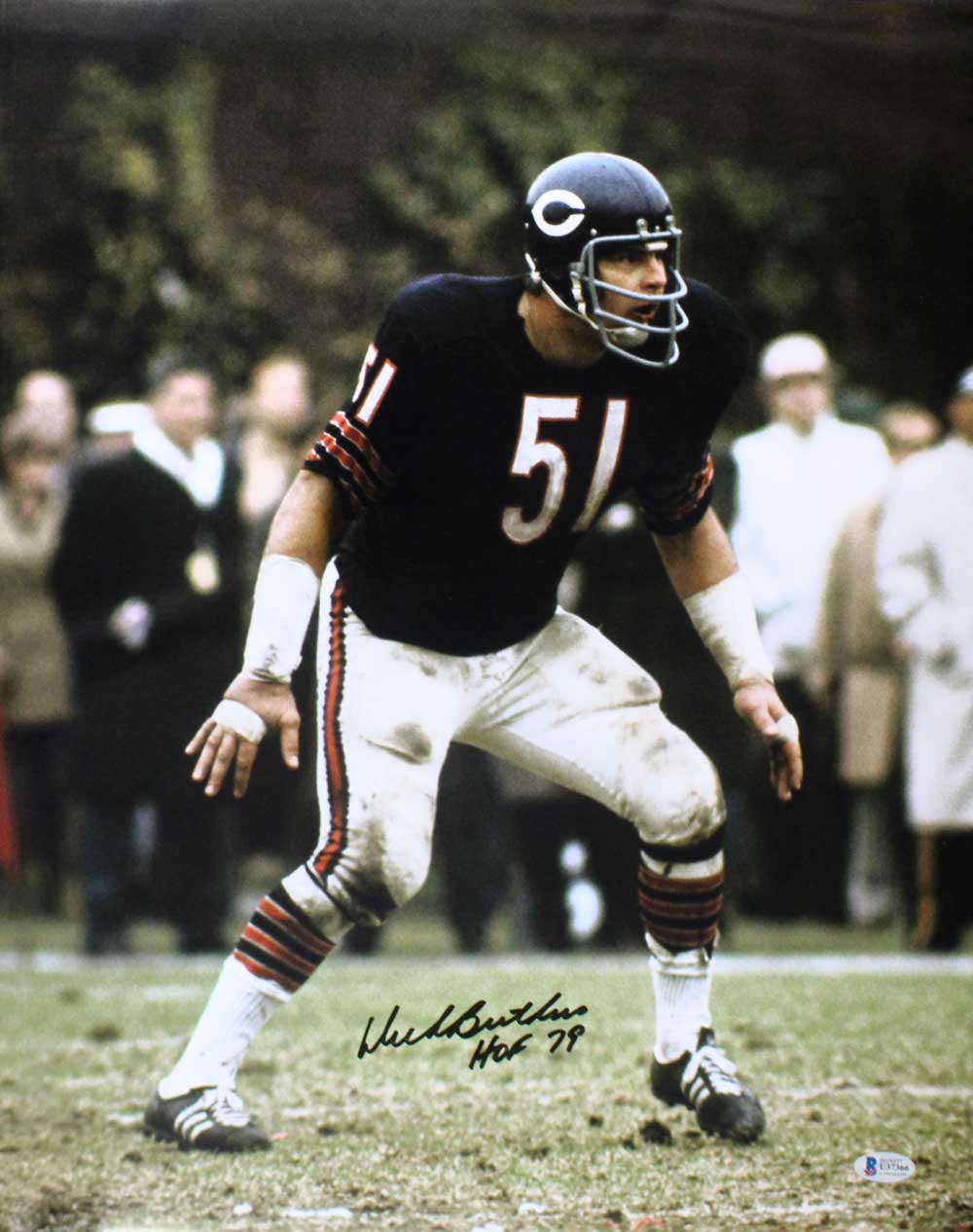 Dick Butkus Signed Chicago Bears 16x20 Photo HOF – Beckett Authenticated-Powers Sports Memorabilia