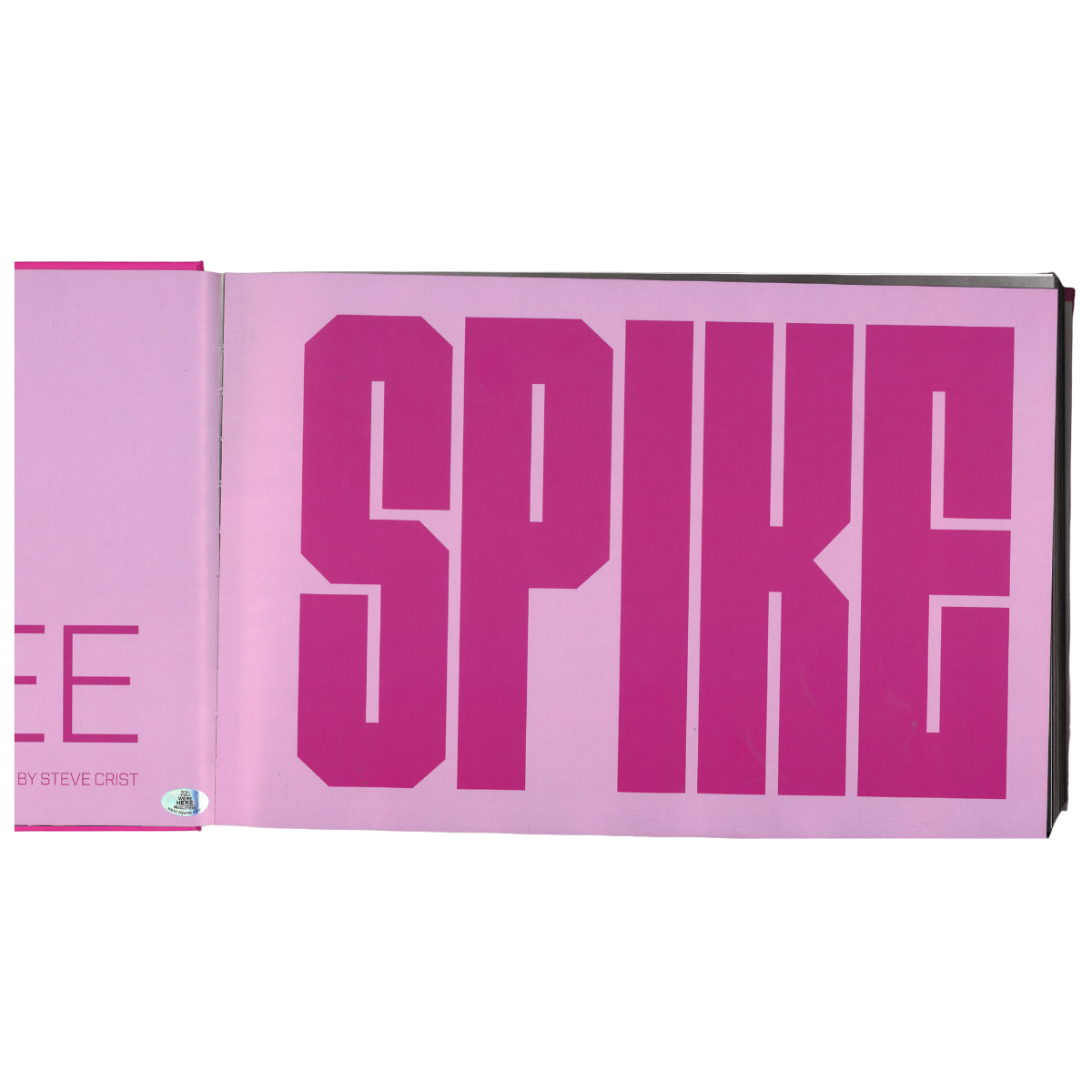 Spike Lee Pink Cover Career Novel Signed Inscribed Book-Powers Sports Memorabilia
