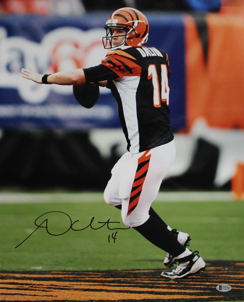 Andy Dalton Signed Cincinnati Bengals 16x20 Photo – Beckett Authenticated-Powers Sports Memorabilia