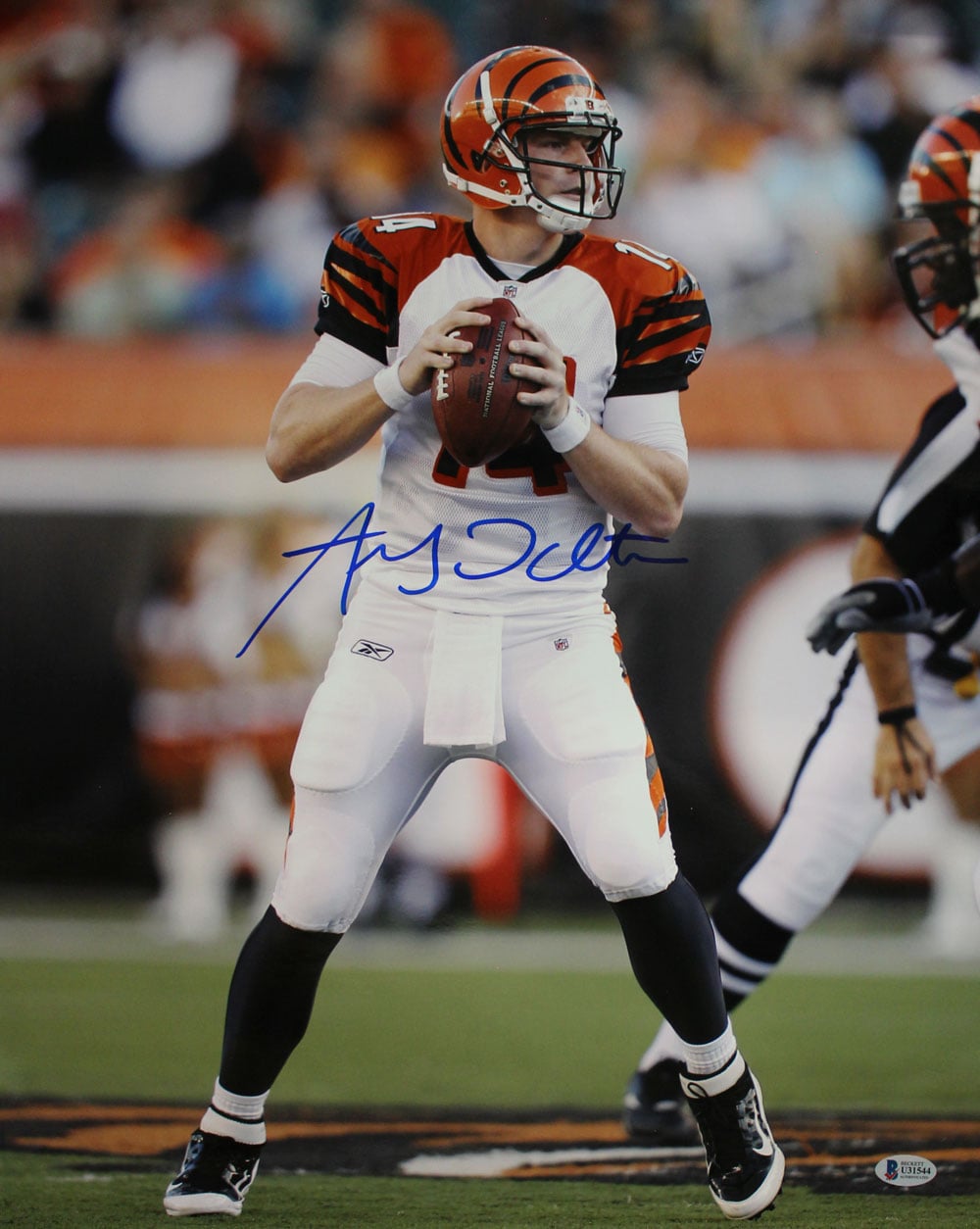 Andy Dalton Cincinnati Bengals Signed 16x20 Photo BAS-Powers Sports Memorabilia