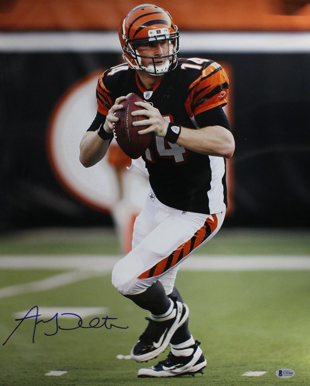 Andy Dalton Cincinnati Bengals Signed 16x20 Photo BAS SKU 29067-Powers Sports Memorabilia