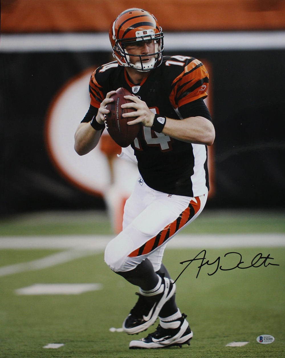 Andy Dalton Cincinnati Bengals Signed 16x20 Photo BAS SKU 29068-Powers Sports Memorabilia