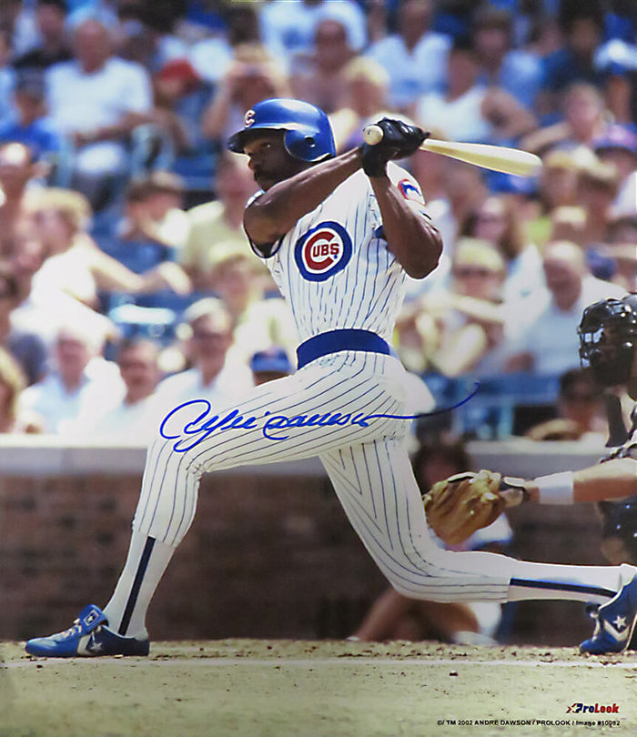 Andre Dawson Autographed Chicago Cubs Batting Action 8x10 Photo-Powers Sports Memorabilia