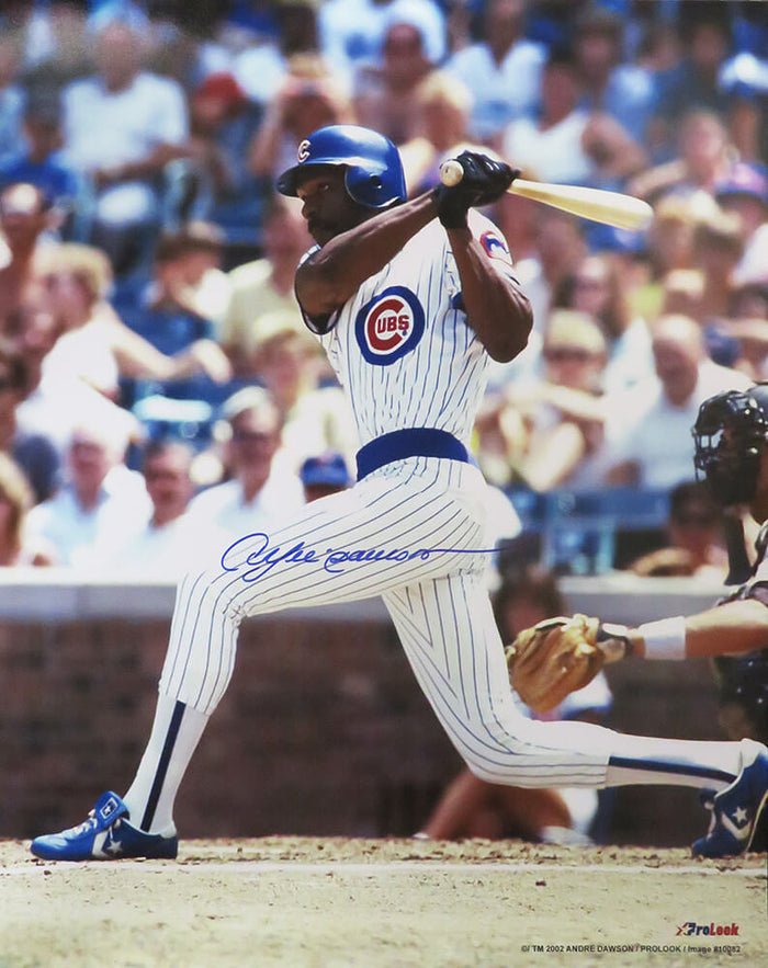 Andre Dawson Autographed Chicago Cubs Batting Action 16x20 Photo-Powers Sports Memorabilia