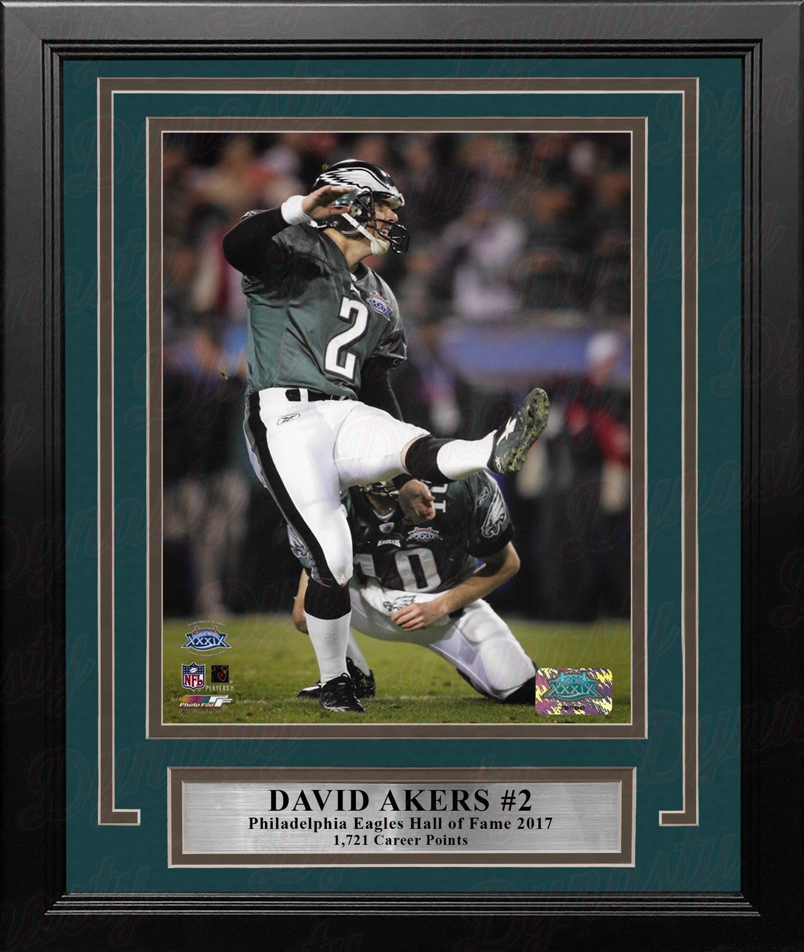 David Akers Super Bowl XXXIX Philadelphia Eagles 8" x 10" Framed Football Display Photo-Powers Sports Memorabilia