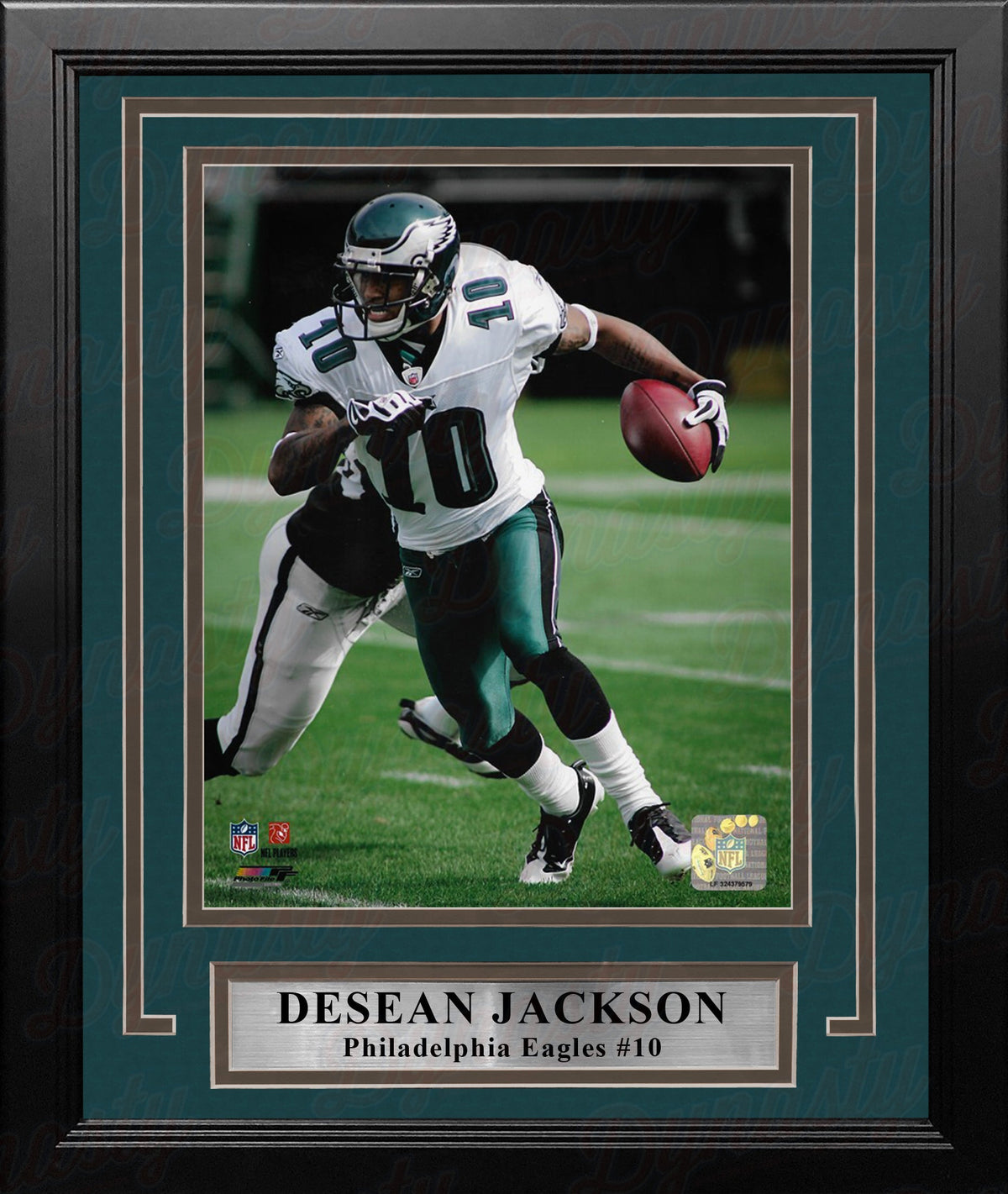 DeSean Jackson in Action Philadelphia Eagles 8" x 10" Framed Football Display Photo-Powers Sports Memorabilia