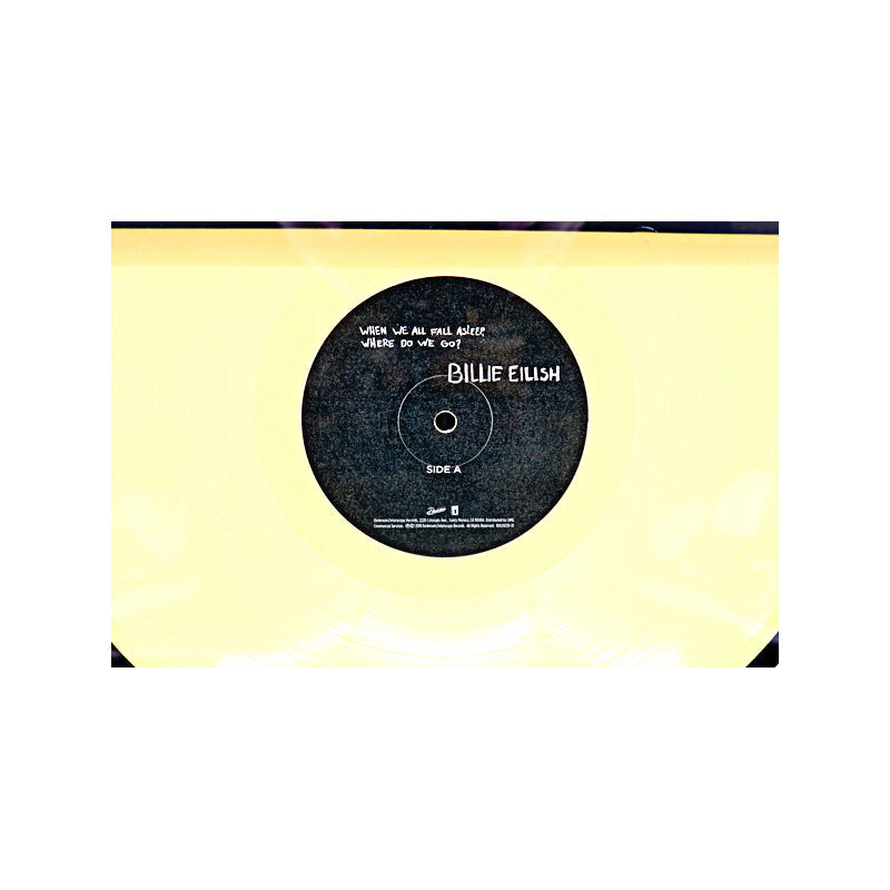 Billie Eilish When We All Fall Asleep, Where Do We Go Vinyl Record Framed Collage-Powers Sports Memorabilia