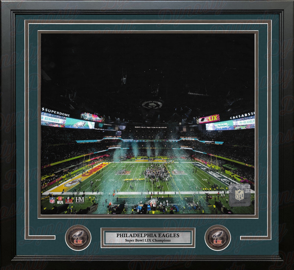 Philadelphia Eagles Super Bowl LIX Champions Stadium Celebration 11" x 14" Framed Football Display Photo-Powers Sports Memorabilia