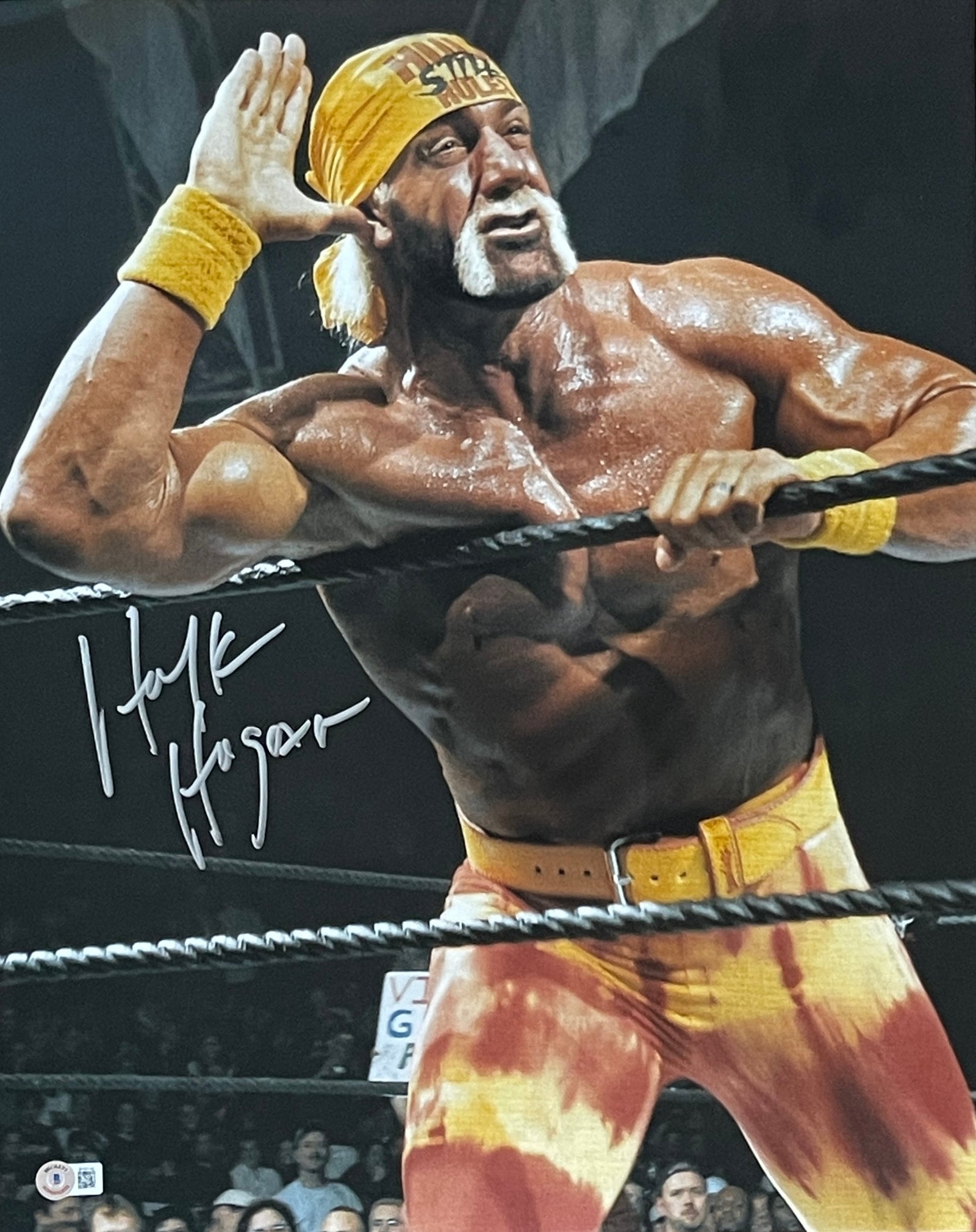Hulk Hogan Autographed 16x20 Photo – Beckett Authenticated-Powers Sports Memorabilia