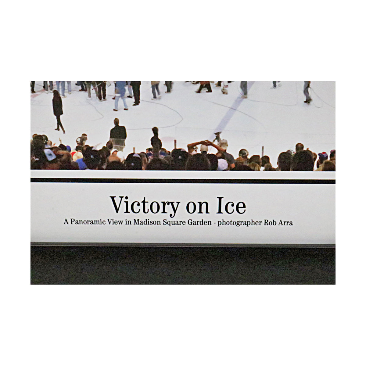 1994 New York Rangers Team Signed Signed 13x39 Framed Panoramic Photo-Powers Sports Memorabilia