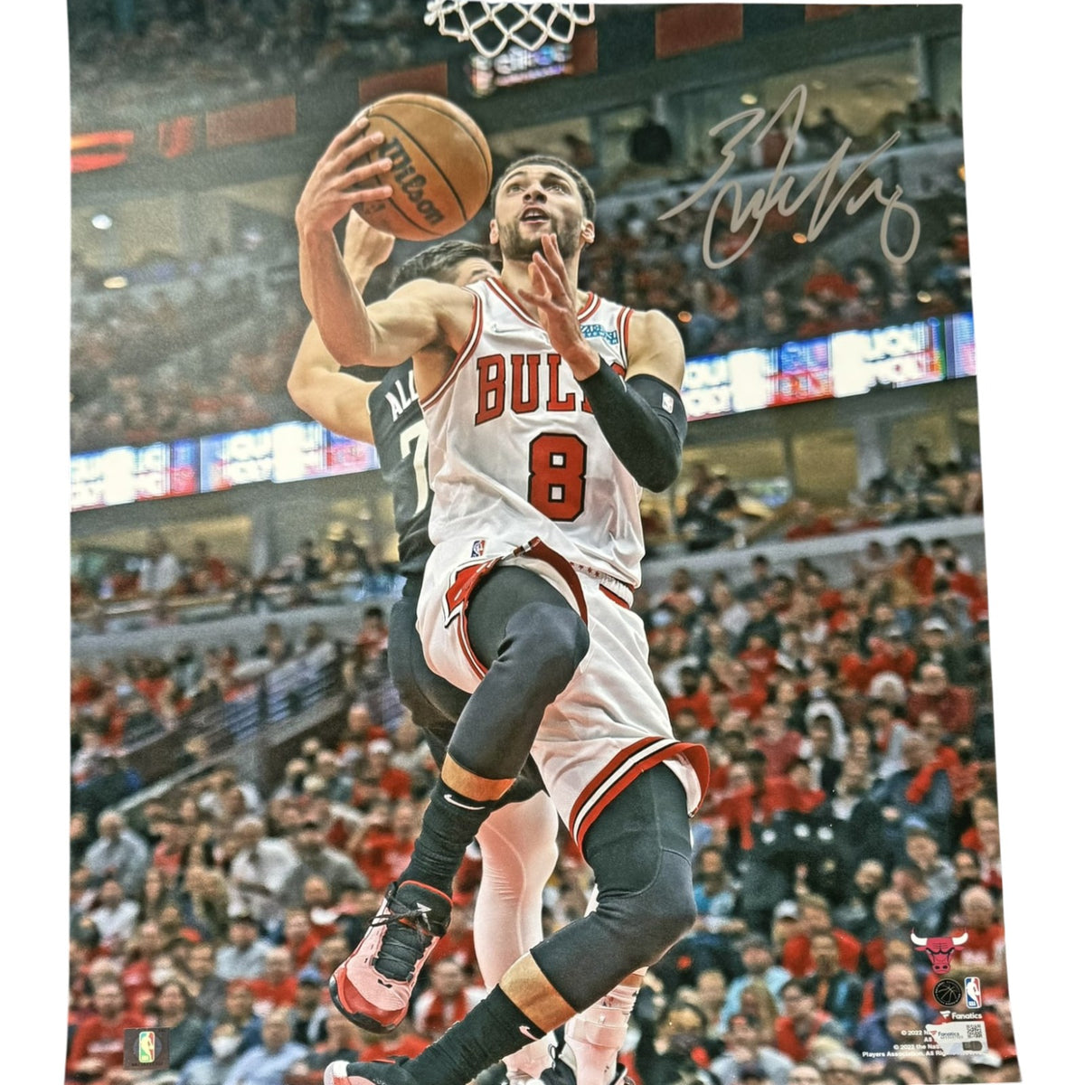 Zach LaVine Chicago Bulls Signed 16x20 Photo - Fanatics-Powers Sports Memorabilia