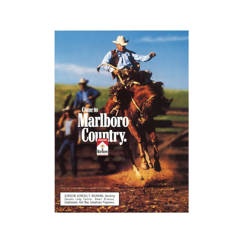 Don Mattingly New York Yankees Signed 8/31/97 Don Mattingly Day Yankees Program-Powers Sports Memorabilia