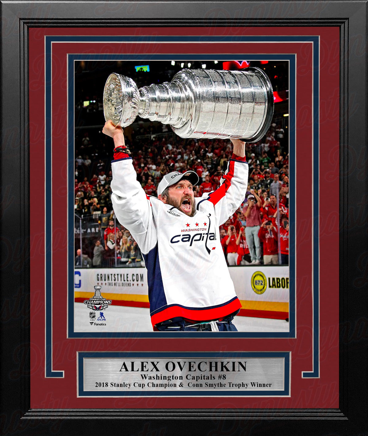 Alex Ovechkin Washington Capitals 2018 Stanley Cup Champions 8" x 10" Framed Hockey Display Photo-Powers Sports Memorabilia