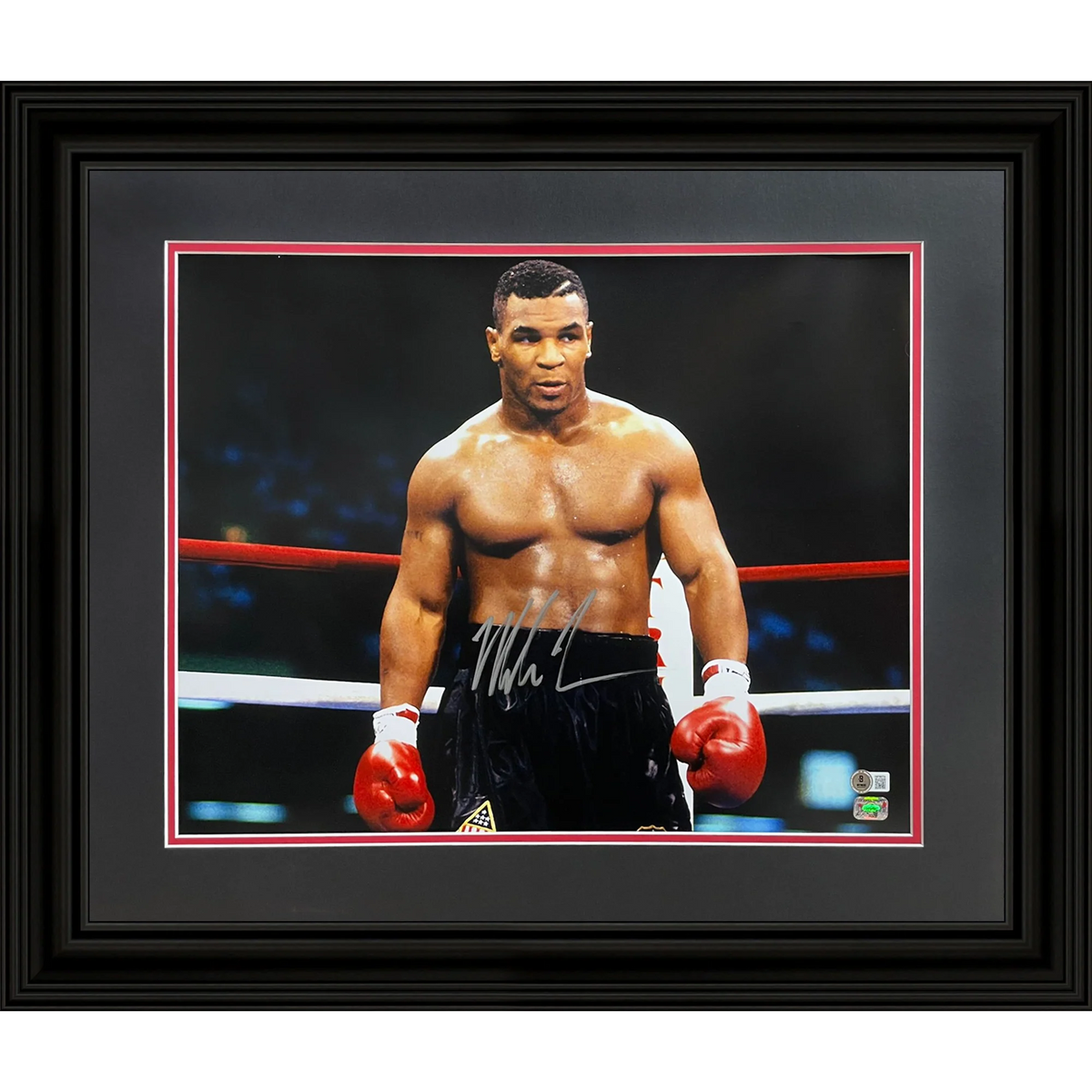 Autographed Mike Tyson Boxing (Horizontal) Deluxe Framed 16x20 Photo - JSA-Powers Sports Memorabilia