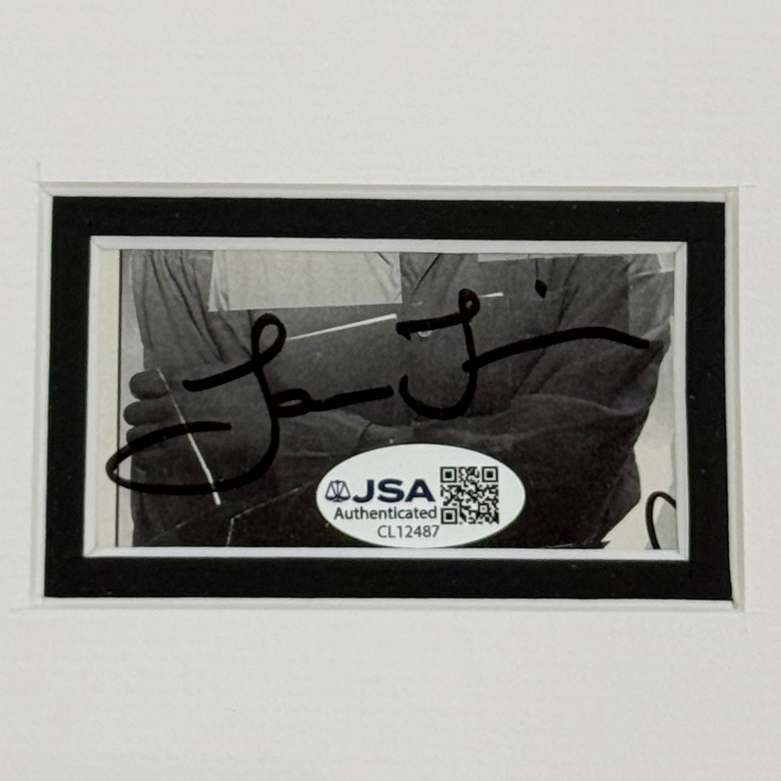 Ozark 11x17 TV Poster Deluxe Framed with Jason Bateman And Laura Linney Autographs - JSA | Collectible Memorabilia-Powers Sports Memorabilia