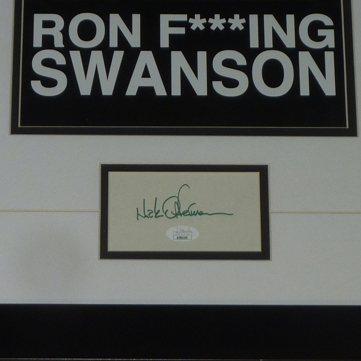 Autographed Nick Offerman Parks and Recreation Ron Swanson Deluxe Framed Piece - JSA-Powers Sports Memorabilia
