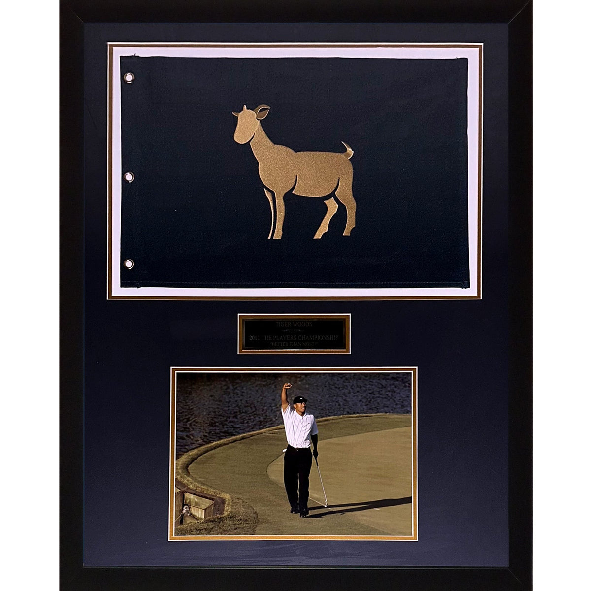 Tiger Woods TPC The Players Championship GOAT Flag Deluxe Framed with 11x14 Photo Better Than Most-Powers Sports Memorabilia