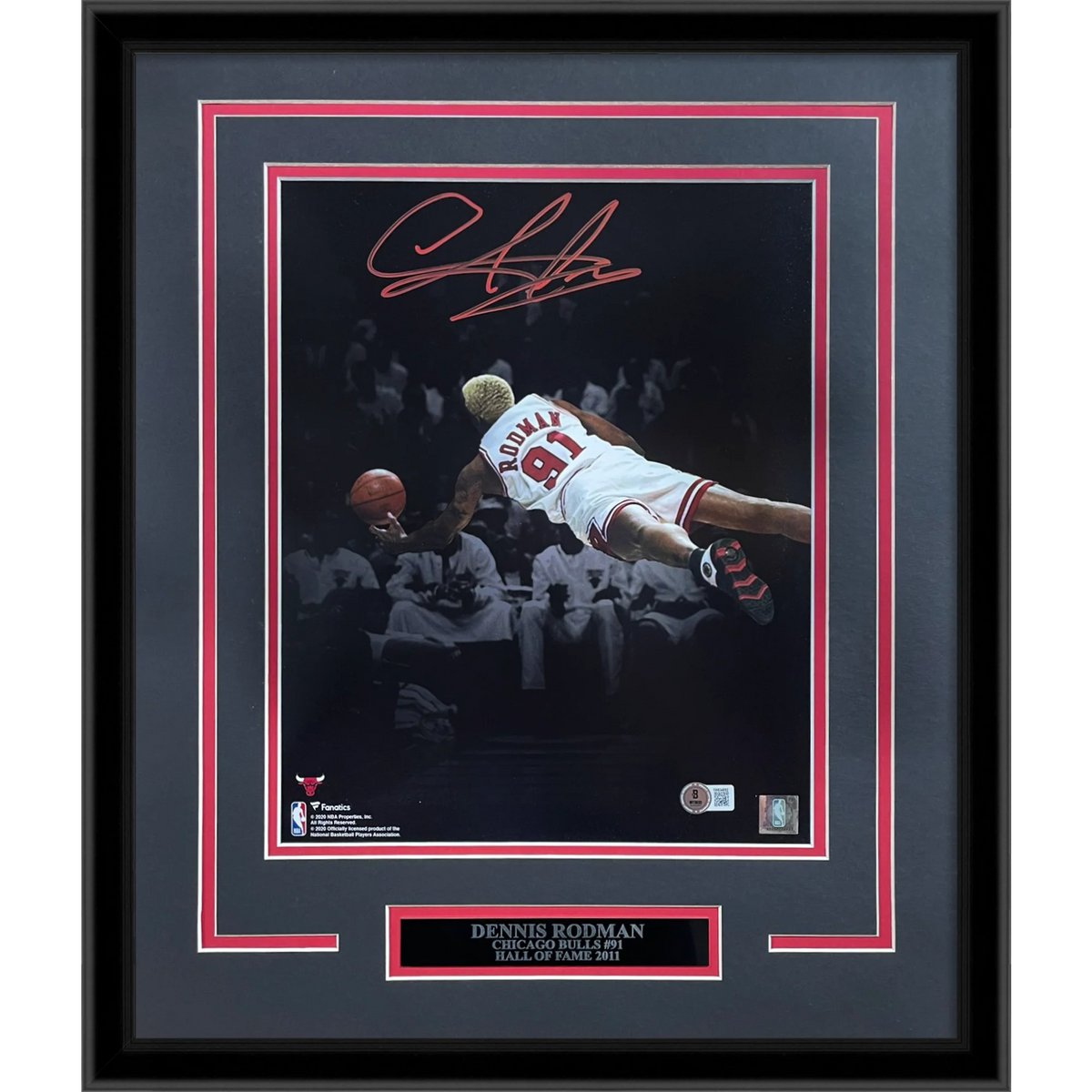 Autographed Dennis Rodman Chicago Bulls (Spotlight Dive) Deluxe Framed 11x14 Photo - JSA-Powers Sports Memorabilia